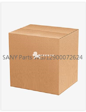 SANY Parts WGJ12900072624   