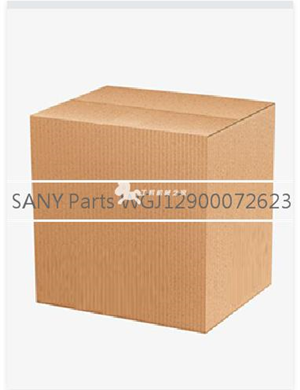SANY Parts WGJ12900072623   