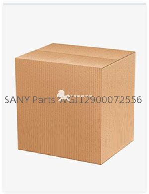 SANY Parts WGJ12900072556 