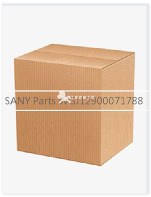 SANY Parts WGJ12900071788  
