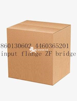 860130602 4460365201input flange ZF bridge