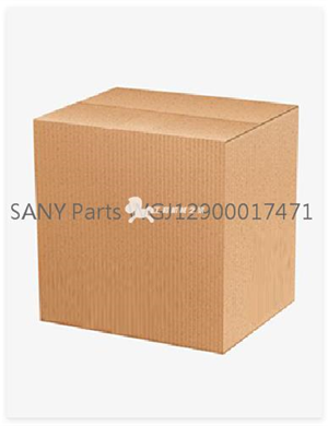 SANY Parts WGJ12900017471   