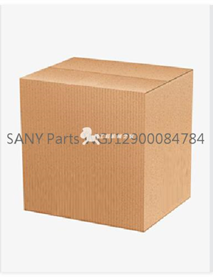 SANY Parts WGJ12900084784  