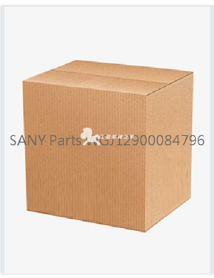  SANY Parts WGJ12900084796  