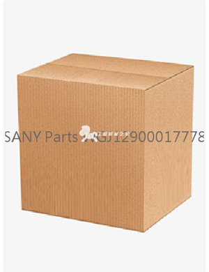 SANY Parts WGJ12900017778  
