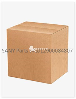 SANY Parts WGJ12900084807 