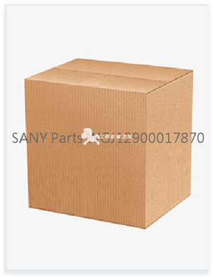 SANY Parts WGJ12900017870