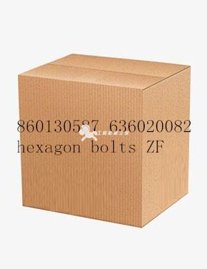 860130587 636020082hexagon bolts ZF