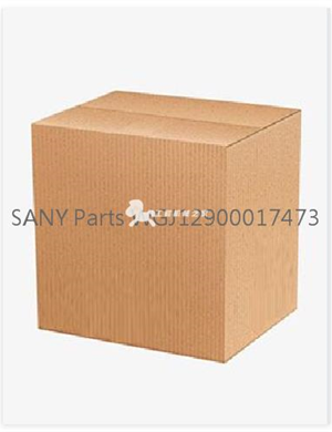   SANY Parts WGJ12900017473 