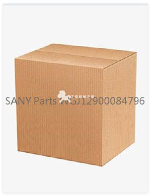  SANY Parts WGJ12900084796 