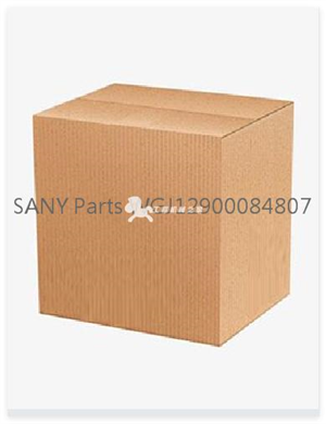 SANY Parts WGJ12900084807  