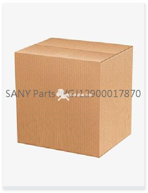 SANY Parts WGJ12900017870  