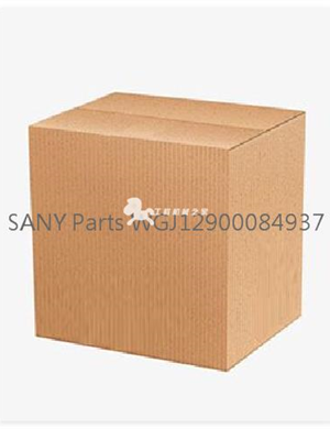 SANY Parts WGJ12900084937