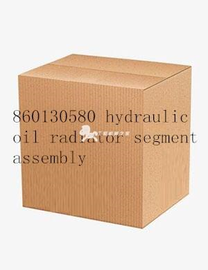 860130580 hydraulic oil radiator segment assembly (XGSX01-67DY-1301000)