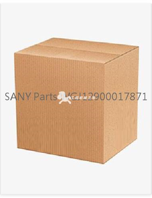 SANY Parts WGJ12900017871  