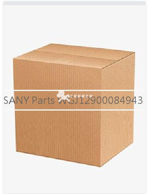  SANY Parts WGJ12900084943  