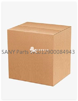 SANY Parts WGJ12900084943   