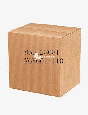 860128081  XGYG01-110