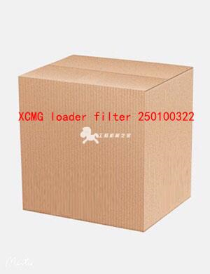 XCMG loader filter 250100322