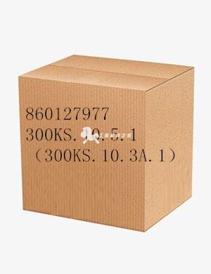 860127977 300KS.10.5.1（300KS.10.3A.1）