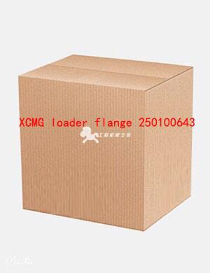 XCMG loader flange 250100643