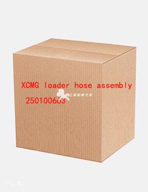 XCMG loader hose assembly 250100663