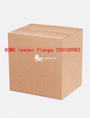 XCMG loader flange 250100983