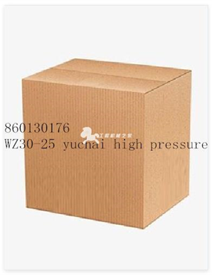 860130176 WZ30-25 yuchai high pressure