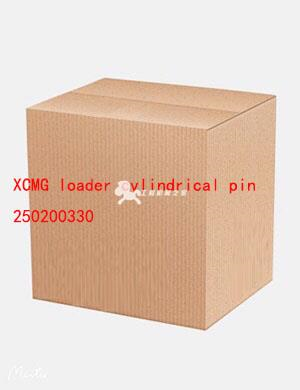 XCMG loader cylindrical pin 250200330