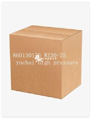 860130176 WZ30-25 yuchai high pressure