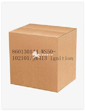 860130144 WS50-102101/JK413 ignition