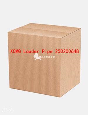 XCMG Loader Pipe 250200648