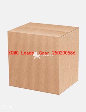XCMG Loader Gear 250200586