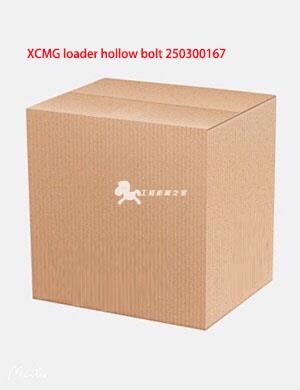 XCMG loader hollow bolt 250300167