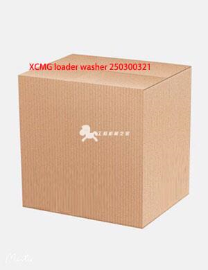 XCMG loader washer 250300321