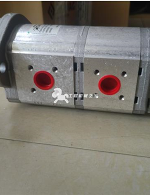 BOMAG Запасные части двойного зубчатого насоса 05802832 