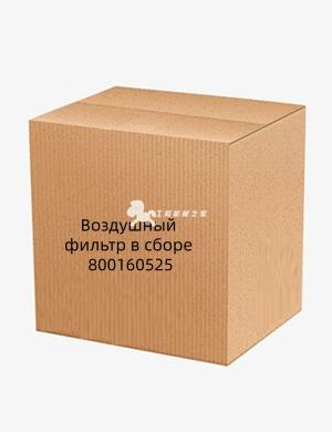 Воздушный фильтр в сборе 800160526