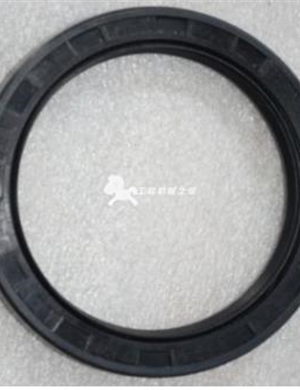 XCMG roller oil seal part number 801101754