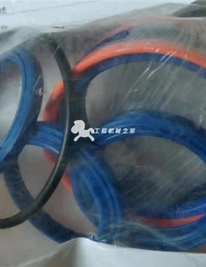 WIRTGEN Rear Door Lift Cylinder Repair Kit Part Number 6395