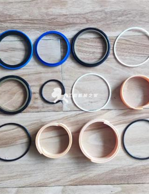  WIRTGEN Leg Cylinder Repair Kit Part Number 102216 