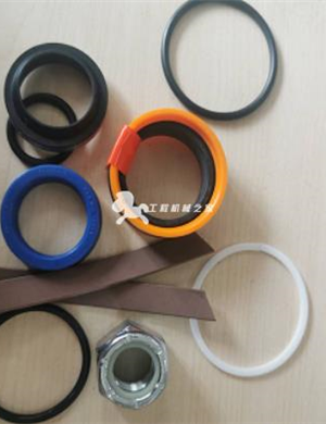 WIRTGEN Side Plate Lifting Cylinder Repair Kit Part Number 74376