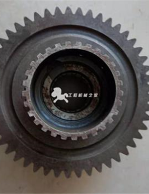 XCMG roller XS222J gearbox dual gear part number XS22208 