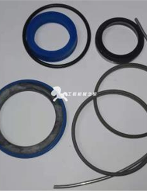  ABG Leveling Cylinder Repair Kit Part Number 52501