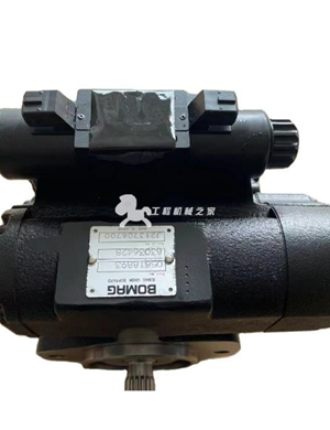  BOMAG vibration pump part number 05818893  