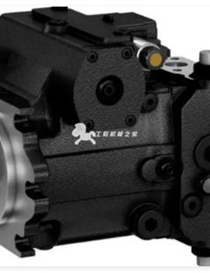 Hydraulic pump | Tadano Demag | 41704812 (19662412 Pump2) | OEM Quality 