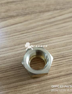   BOMAG Quick Lock Nut Part Number 05555399