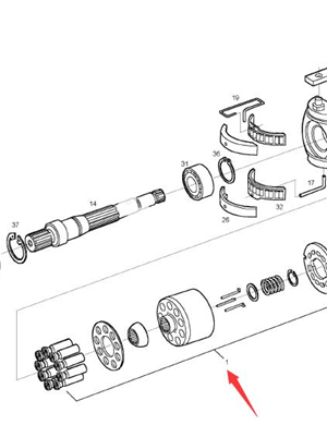  BOMAG walking pump pump Dan part number 05985313