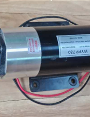  XCMG paver diesel spray pump part number 10265843 