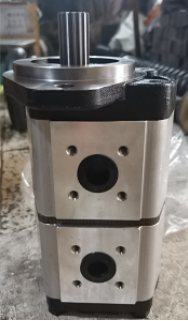 XCMG paver tube plate double gear pump RP95 part number RP95002 
